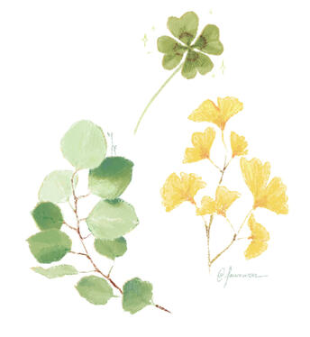 Leaf study